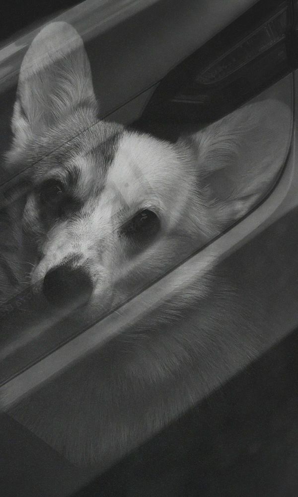 Photograph by Павел Панкратов