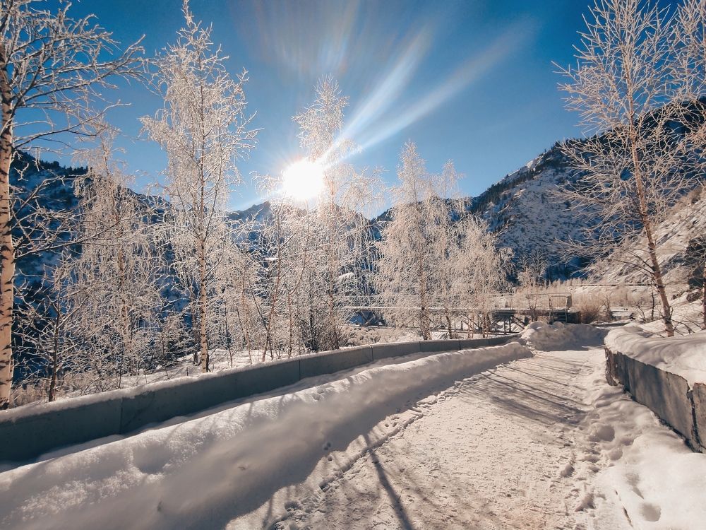 Photograph by Ziya Yussimov