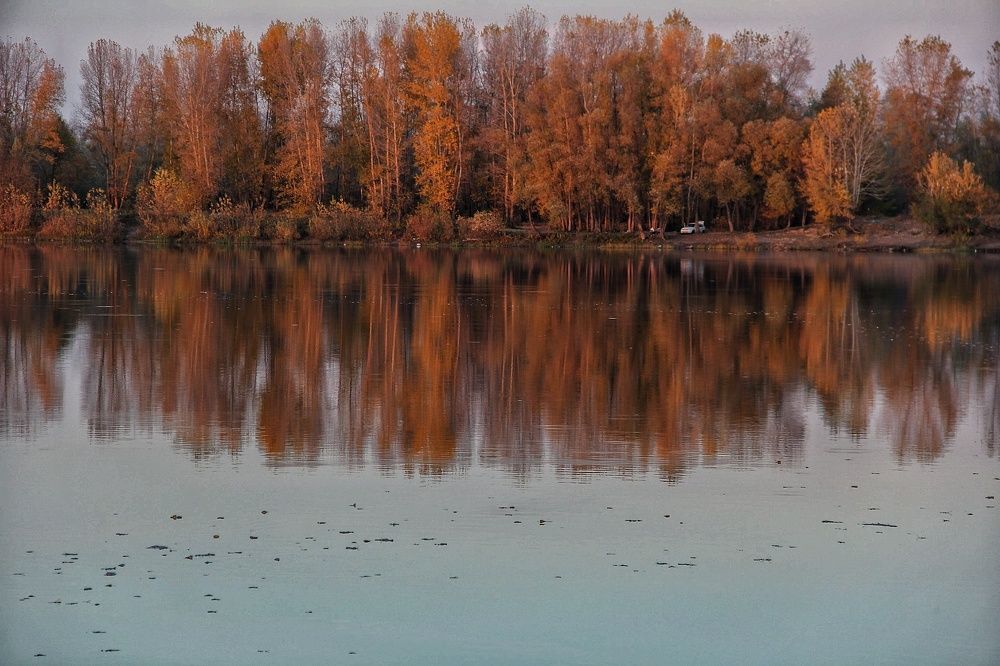 Отражение осени.