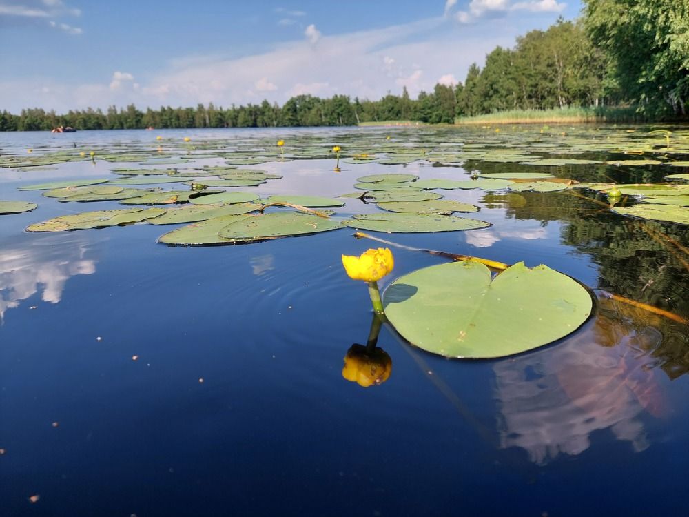 Photograph by Валентина Назина