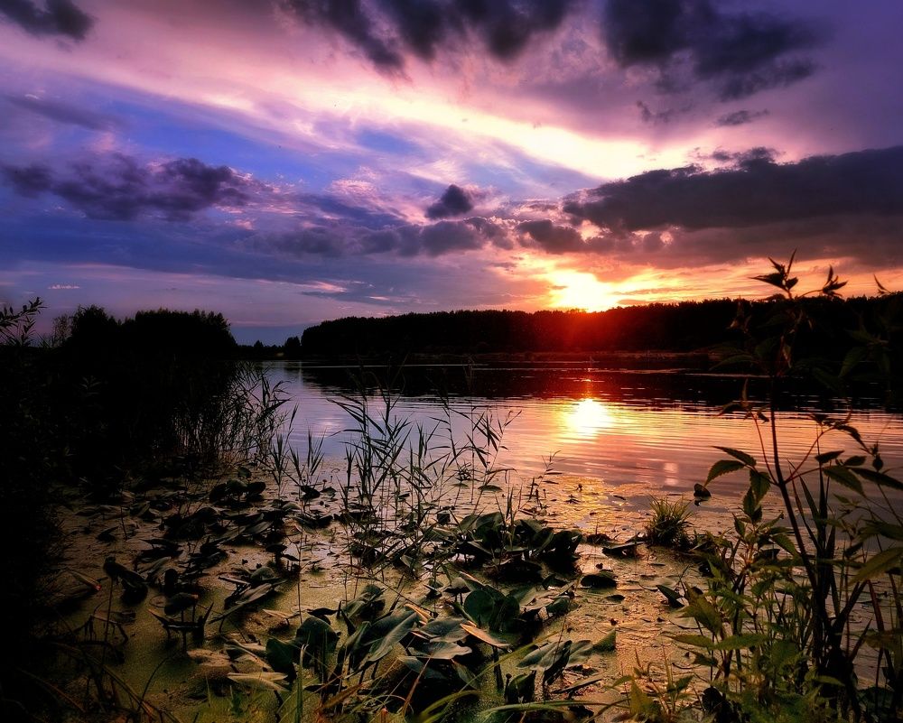 Photograph by Сергей Малашкин