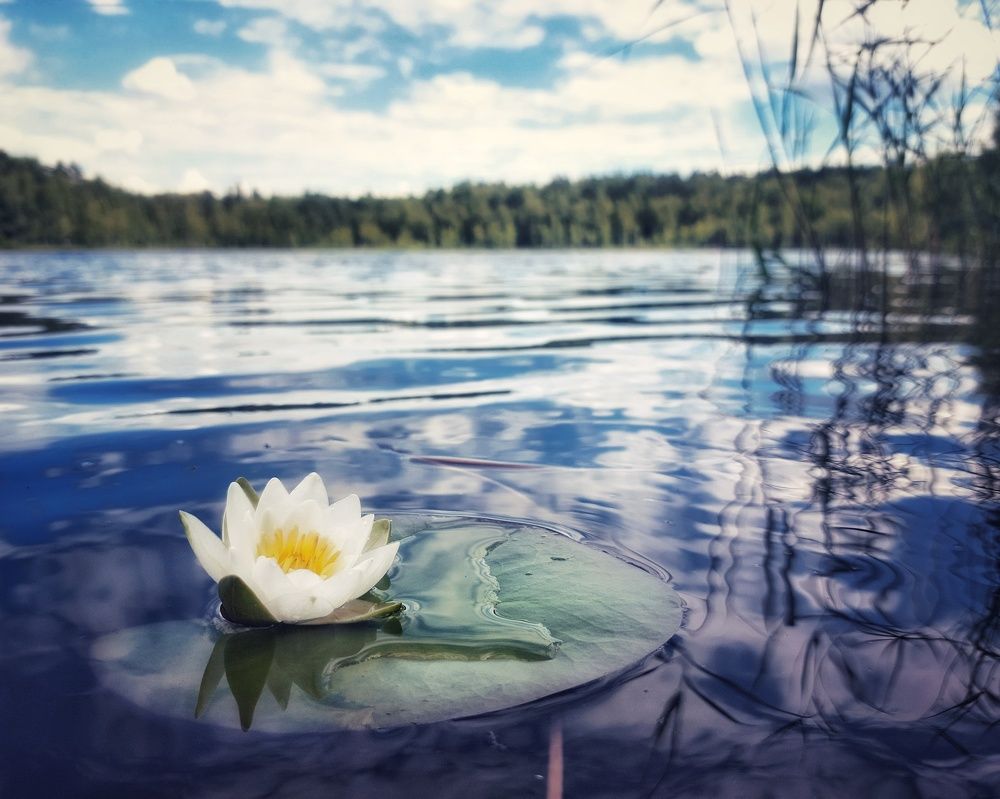 Photograph by Сергей Малашкин