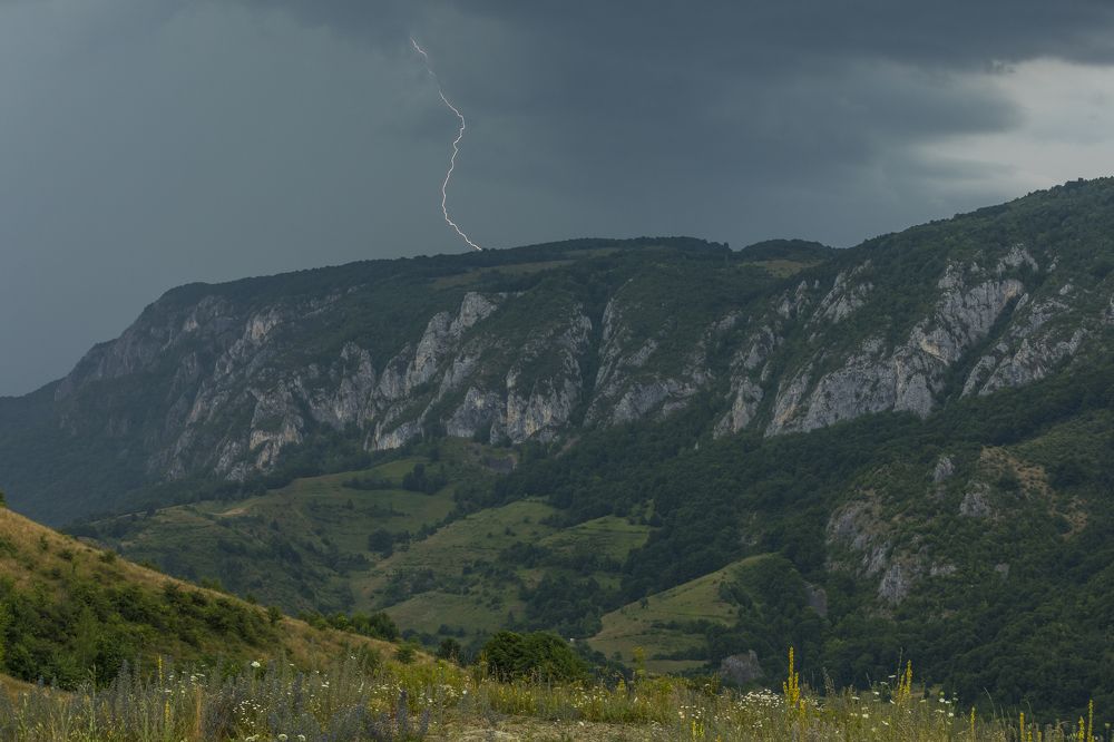 Фотография автора COMSA BOGDAN