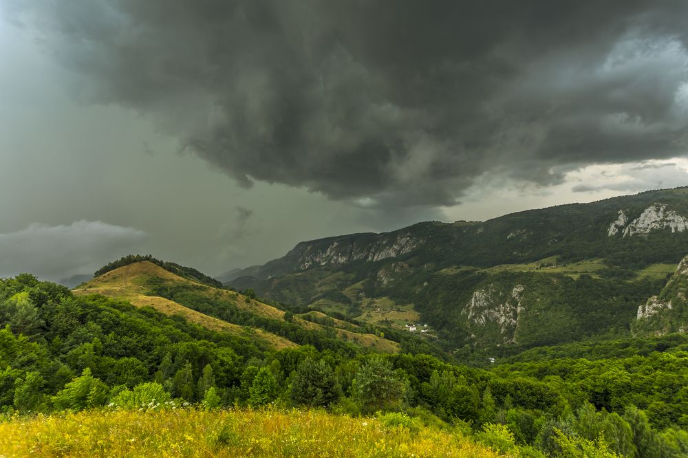 Фотография автора COMSA BOGDAN