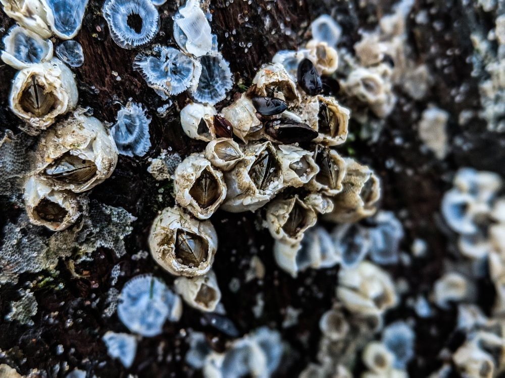 Фотография автора Ксения Шляйхер