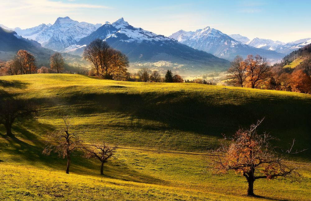 Photograph by Elena Wymann