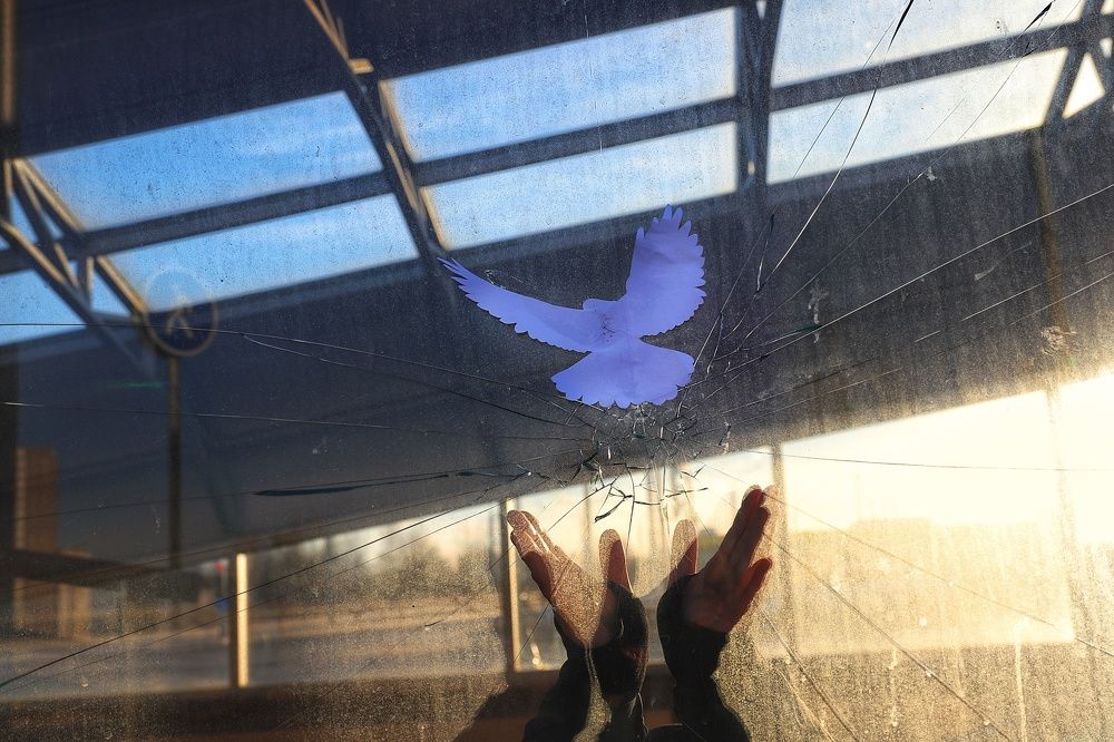 Photograph by Татьяна Мазок