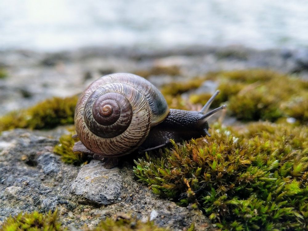 Photograph by Илья Дмитриев