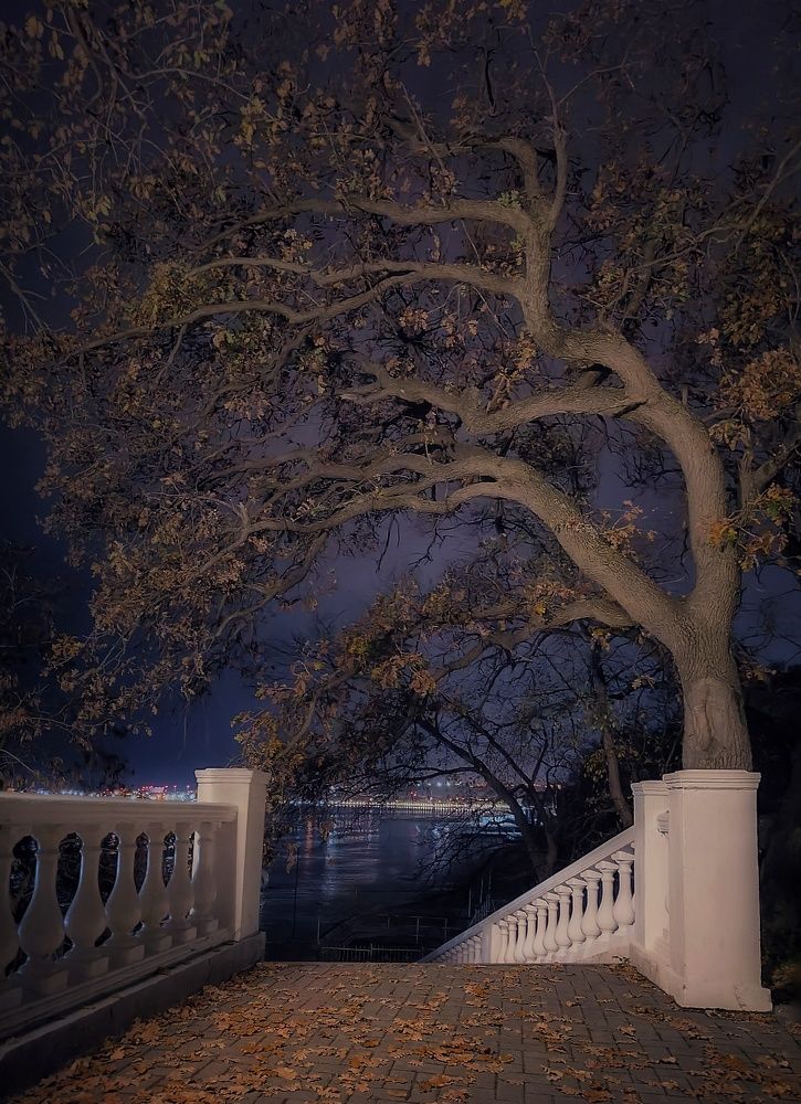 Photograph by Михаил Саидов