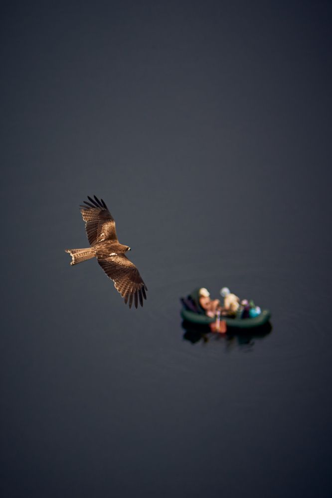 Photograph by Hey Emil