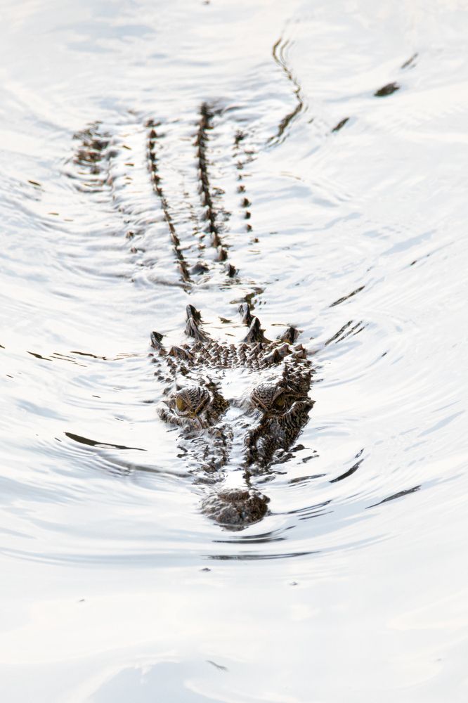 Photograph by Ishaan Shrimali