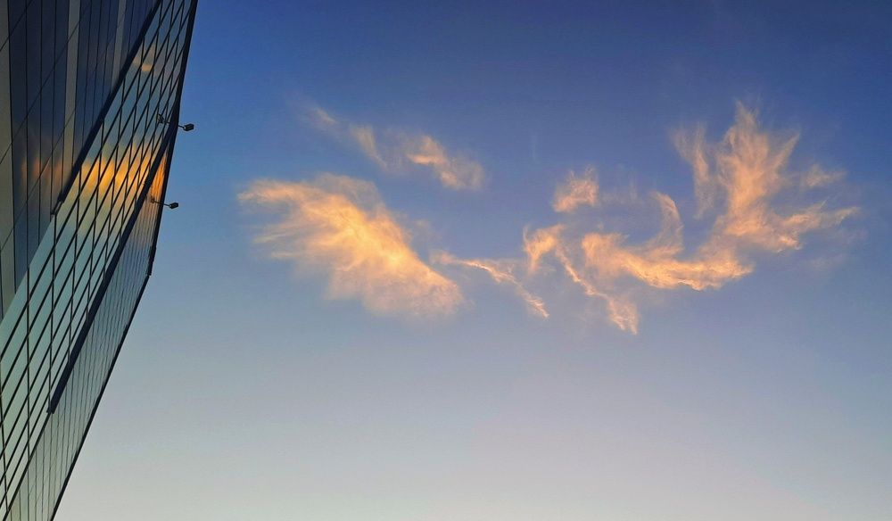 Photograph by Елена Жданова