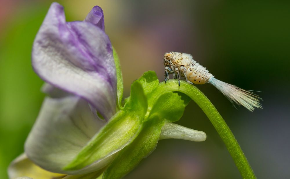 Photograph by Тараненко Анжелика
