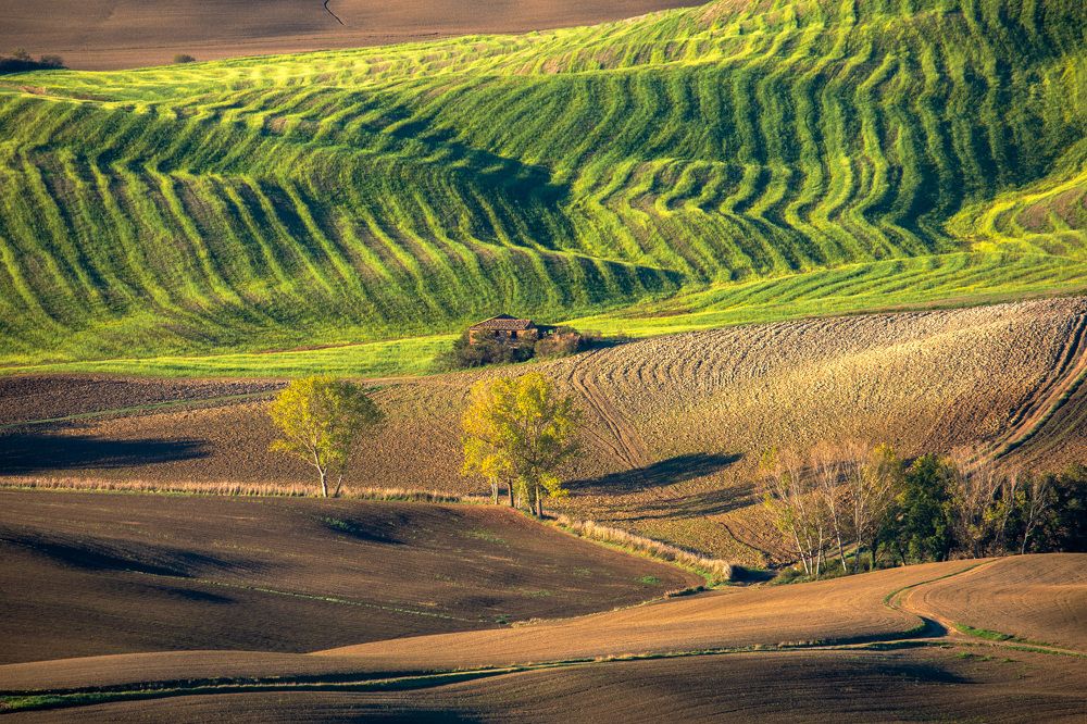 Photograph by Евгения Чех