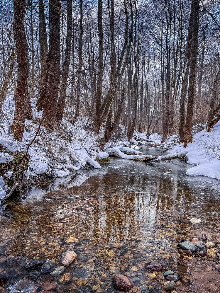 Photograph by Елена Башмакова