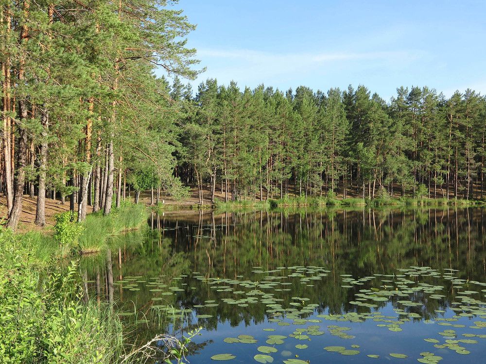 Photograph by Владимир Шаплов