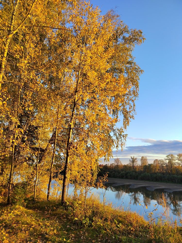 Photograph by Елена Аверьянова