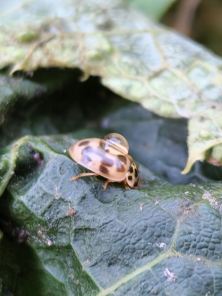 Фотография автора Ольга