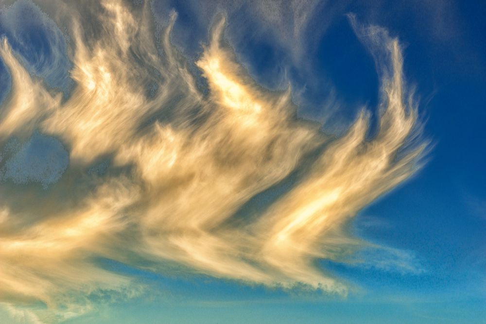 Photograph by Владимир Ушаров