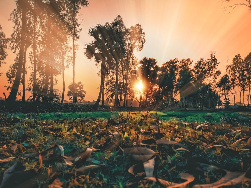 Photograph by Trishik Bose