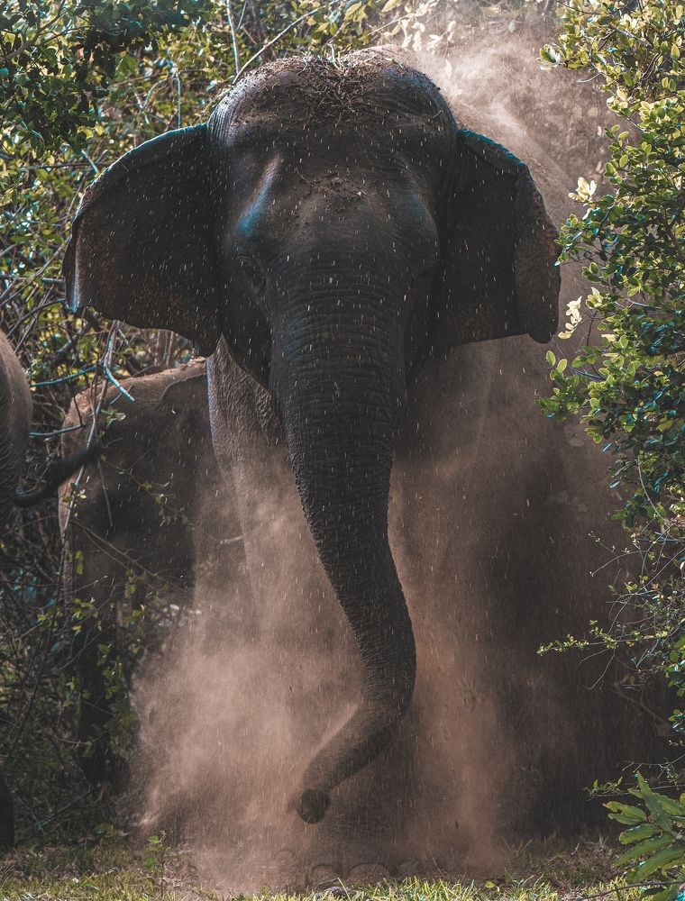 Photograph by Mohamed Raseem