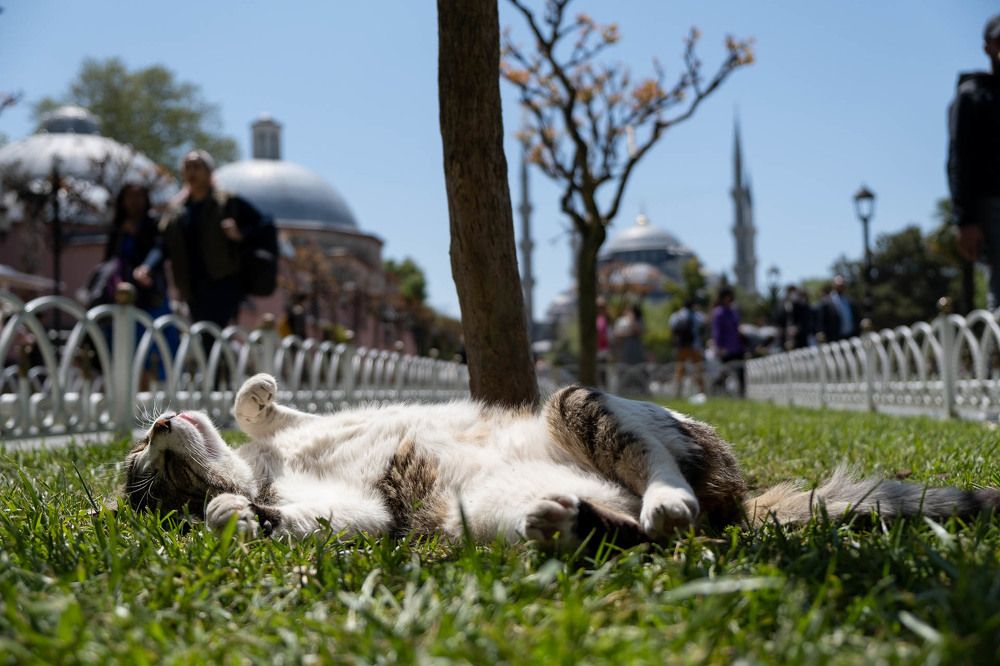 Photograph by Михаил Азаров