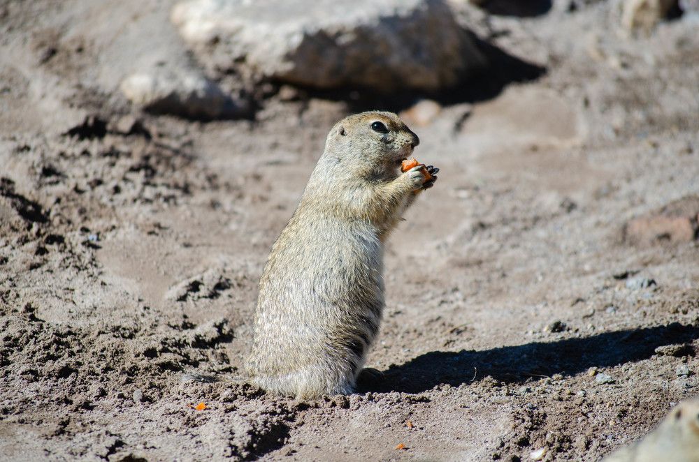 Photograph by Андрей