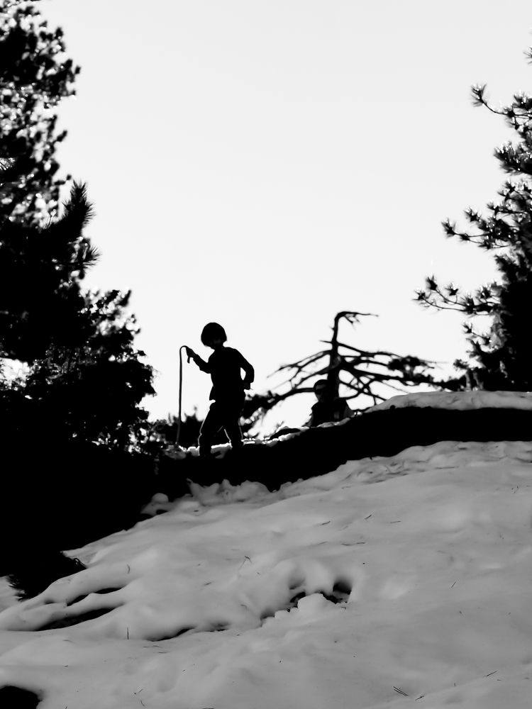 Shadows and silhouettes