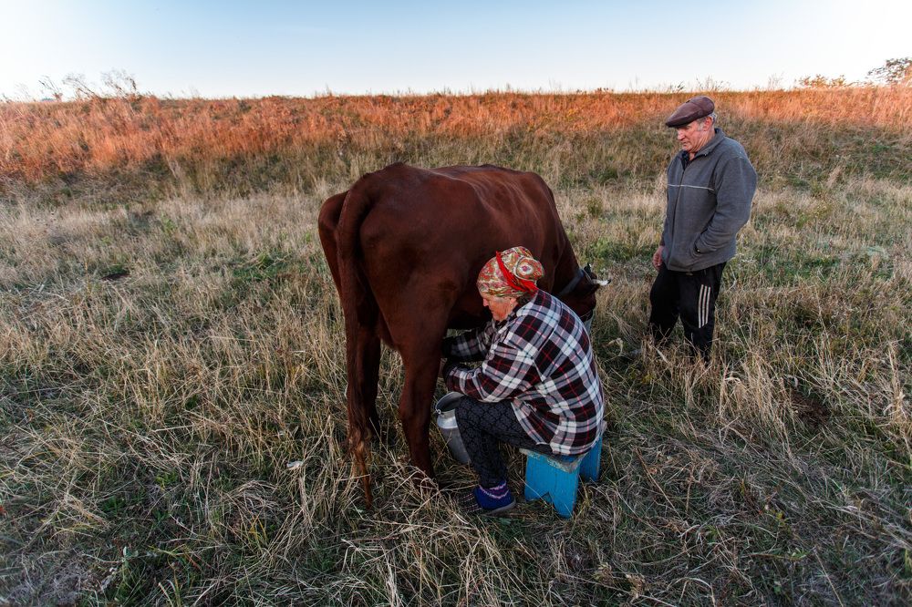 Photograph by Александр Стрельченко