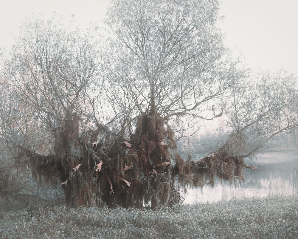 Photograph by Светлана Фимина