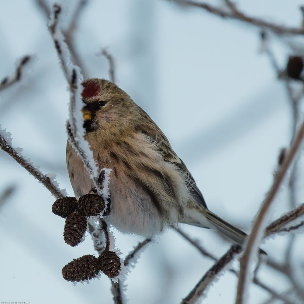Photograph by Максим Фролов