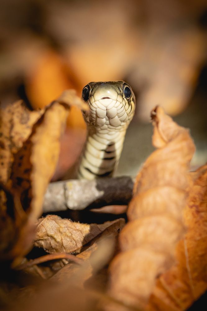 Photograph by Павел Павловский