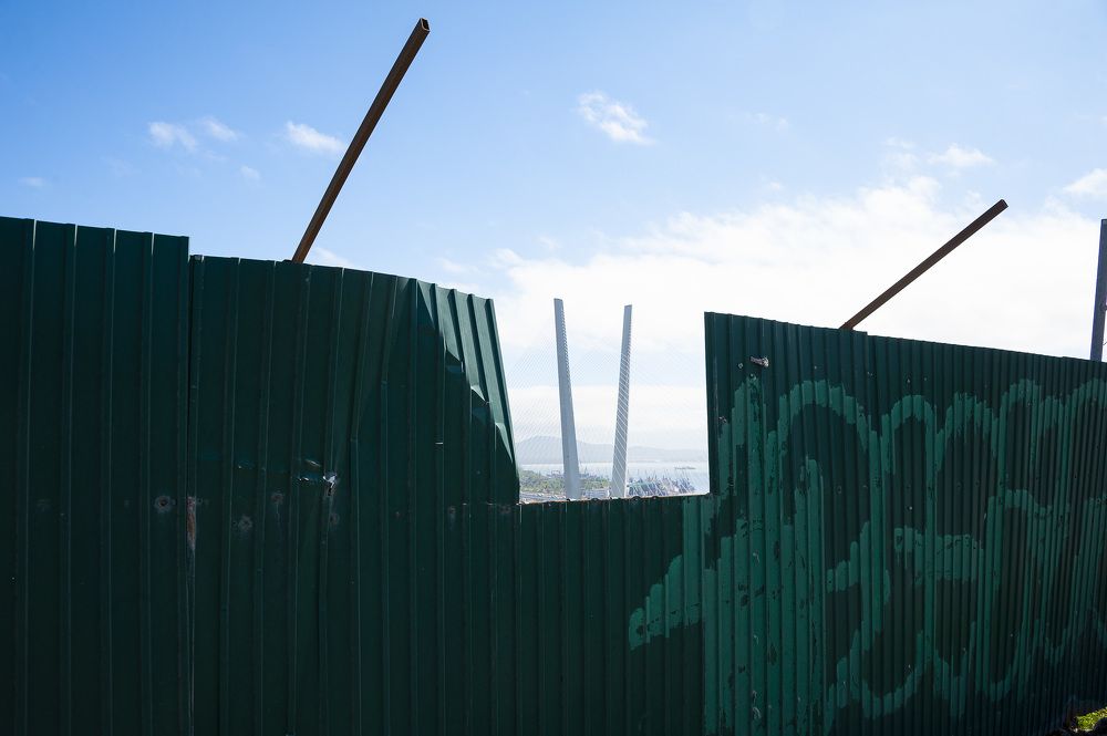 Фотография автора Дмитрий Старостин