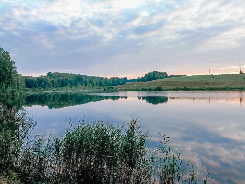 Photograph by Людмила Фризен
