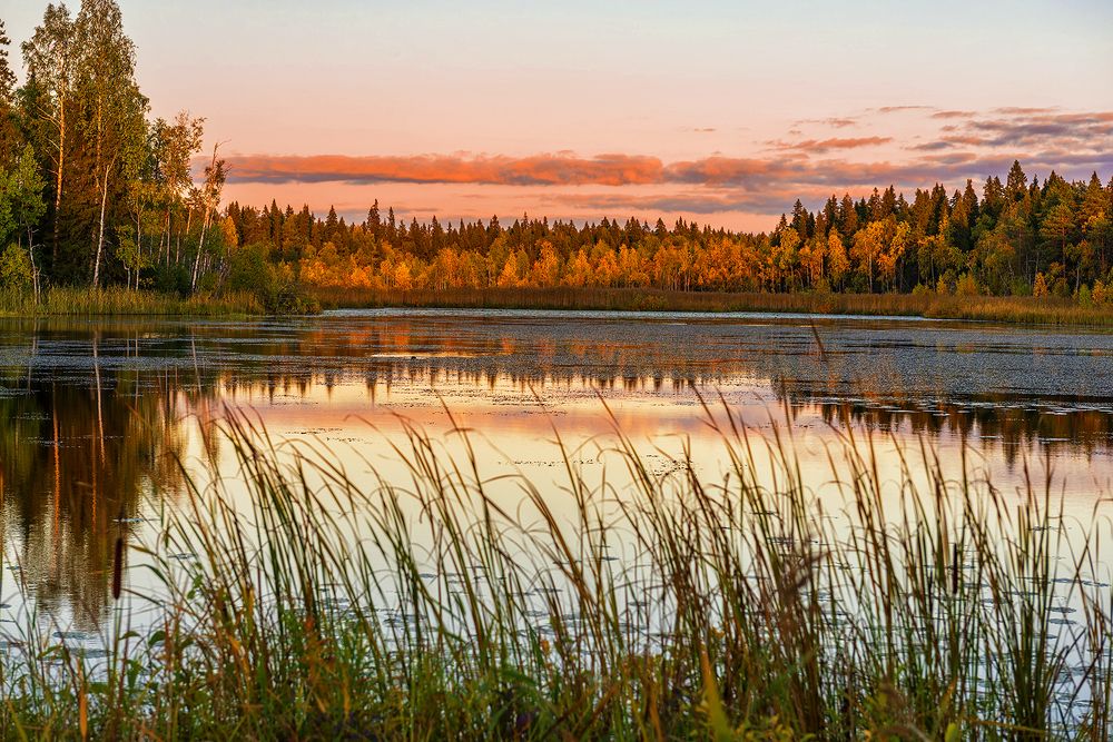 Photograph by Владимир Ушаров