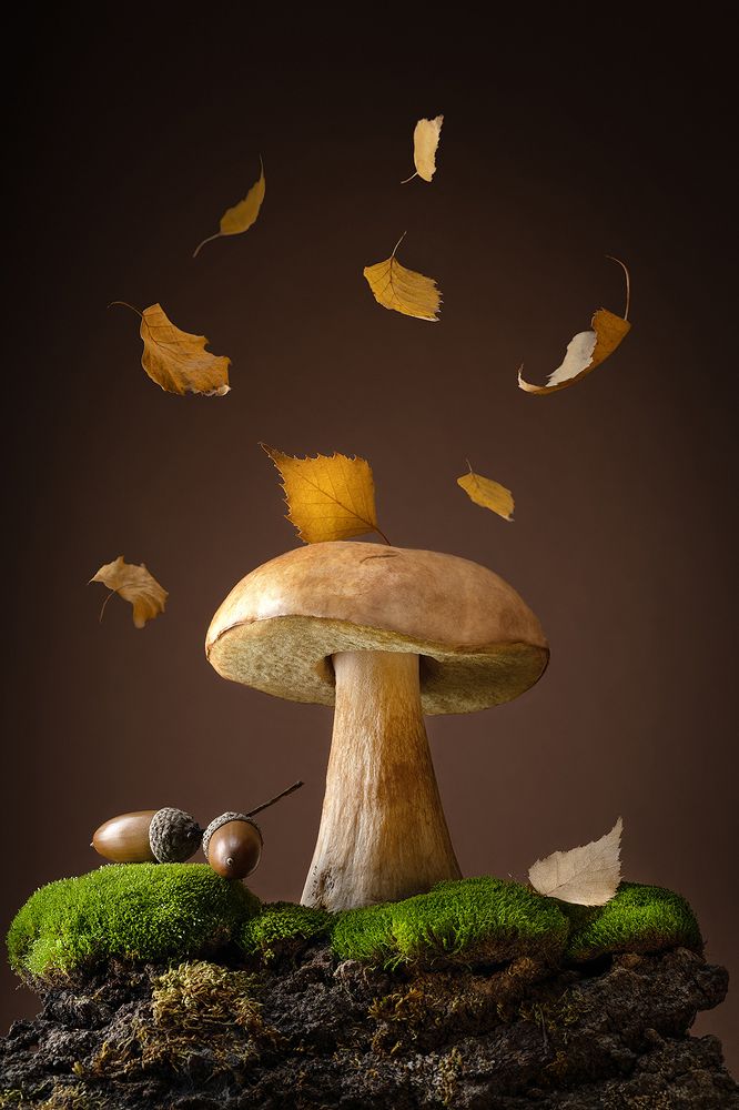 Фотография автора Ольга ЯR