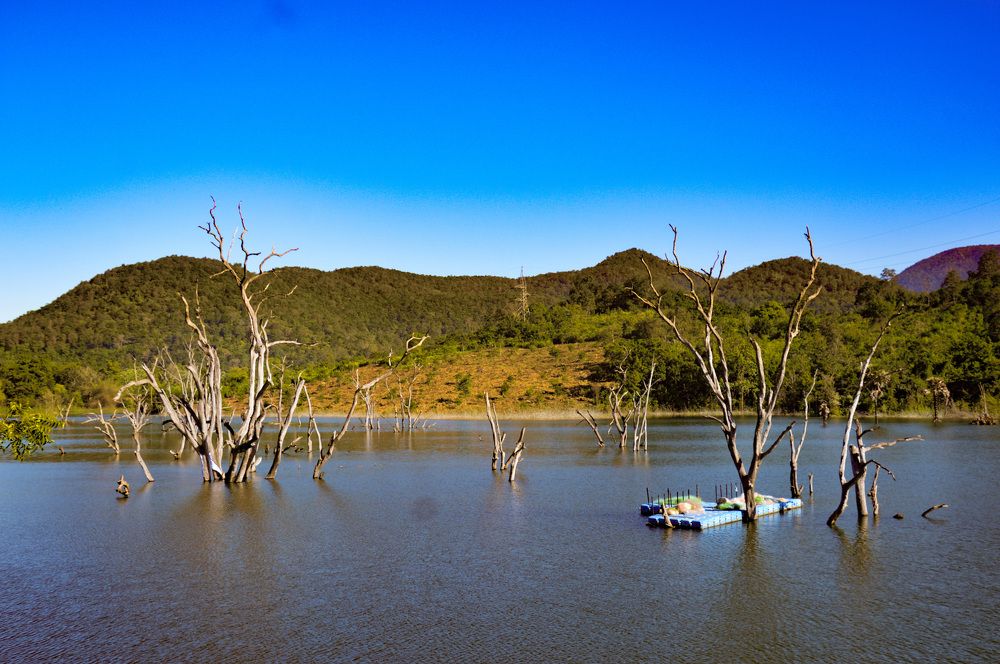 Фотография автора Subhadeep Debnath