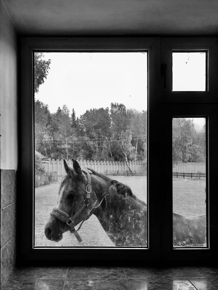 Photograph by Юлия Дудкова