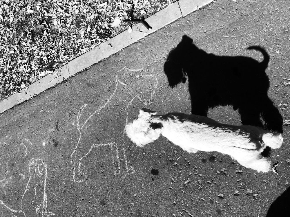 Photograph by Юлия Дудкова