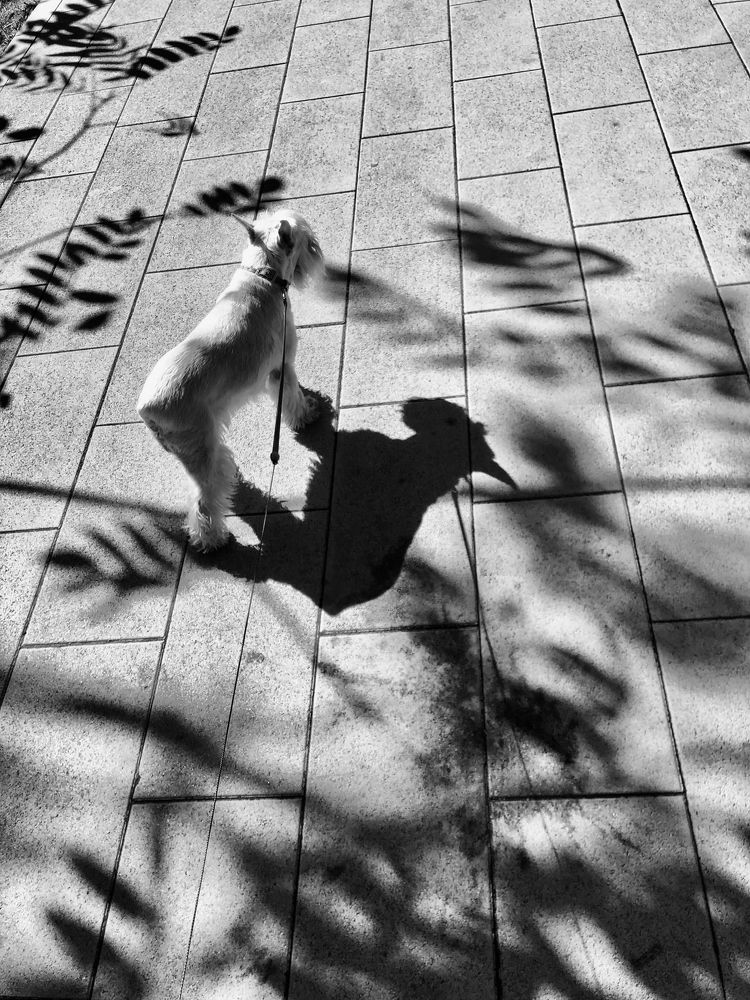 Photograph by Юлия Дудкова