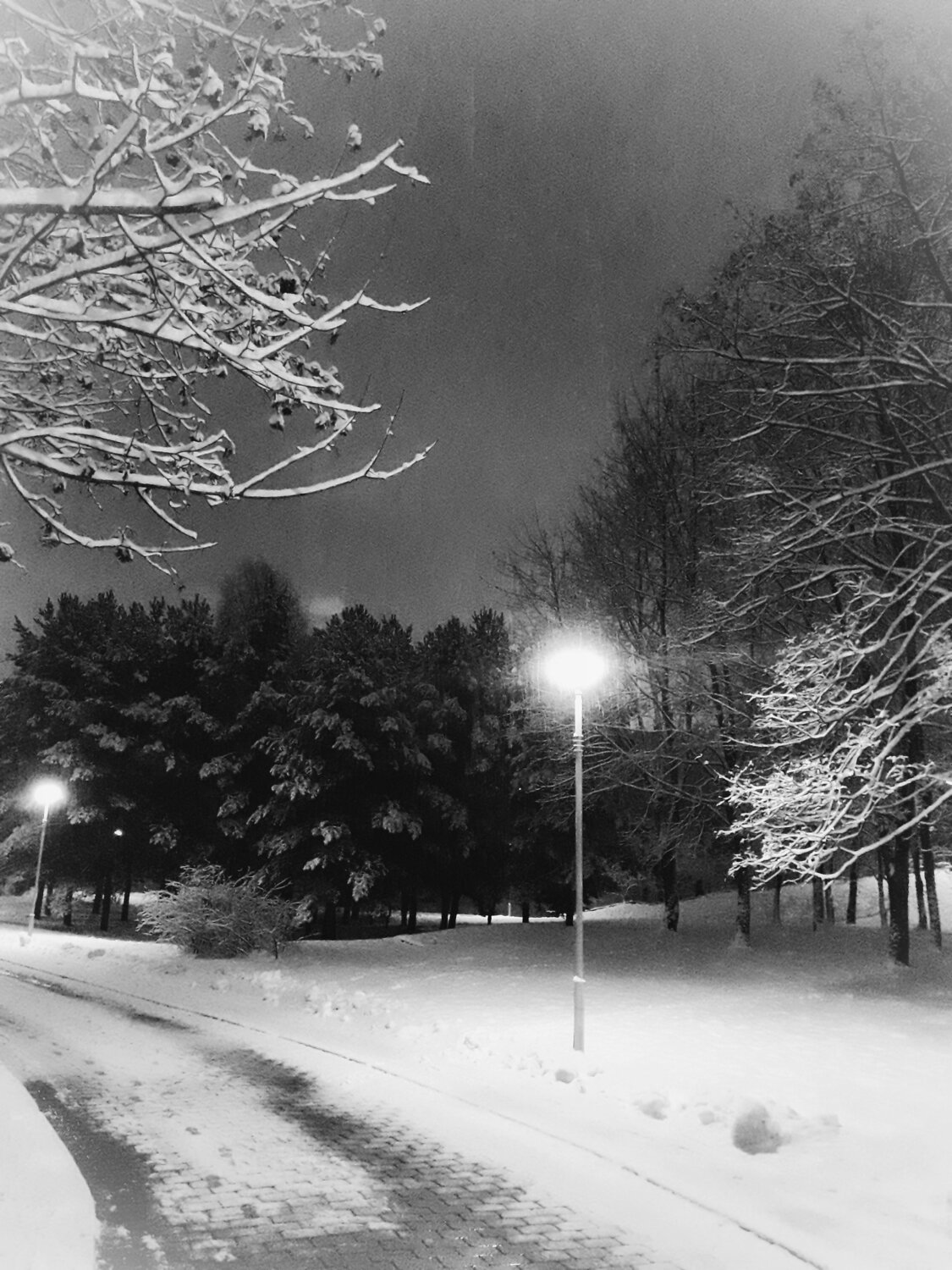 Photo #8417415