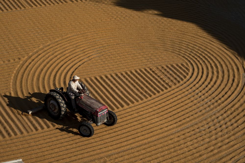 Photograph by İNCİ KOYUNCU