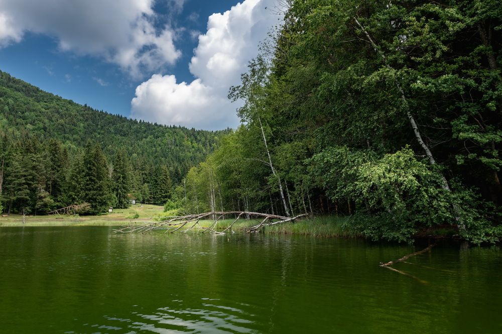 Photograph by Вадим Кулинский