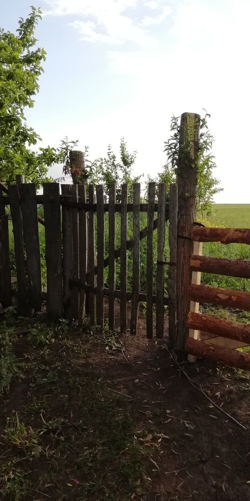 Калитка в лето