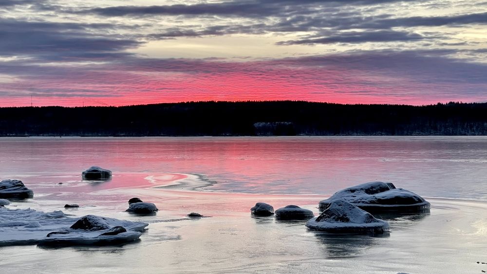 Фотография автора Юлия Шумейко