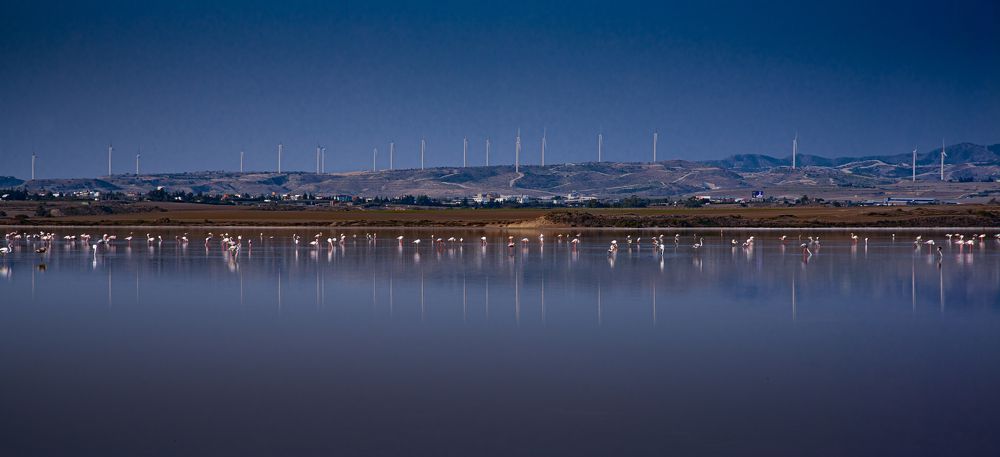 Photograph by Ognyan Levashki