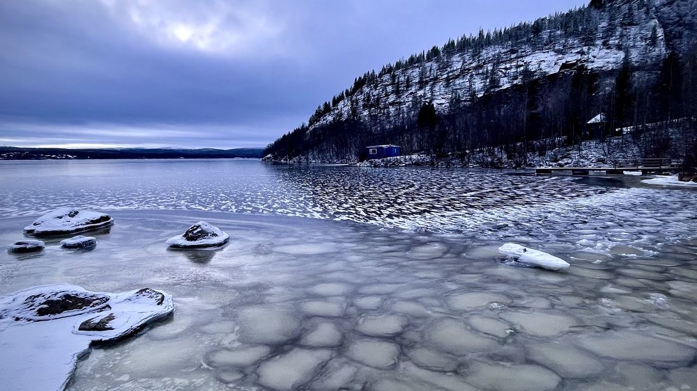 Фотография автора Юлия Шумейко