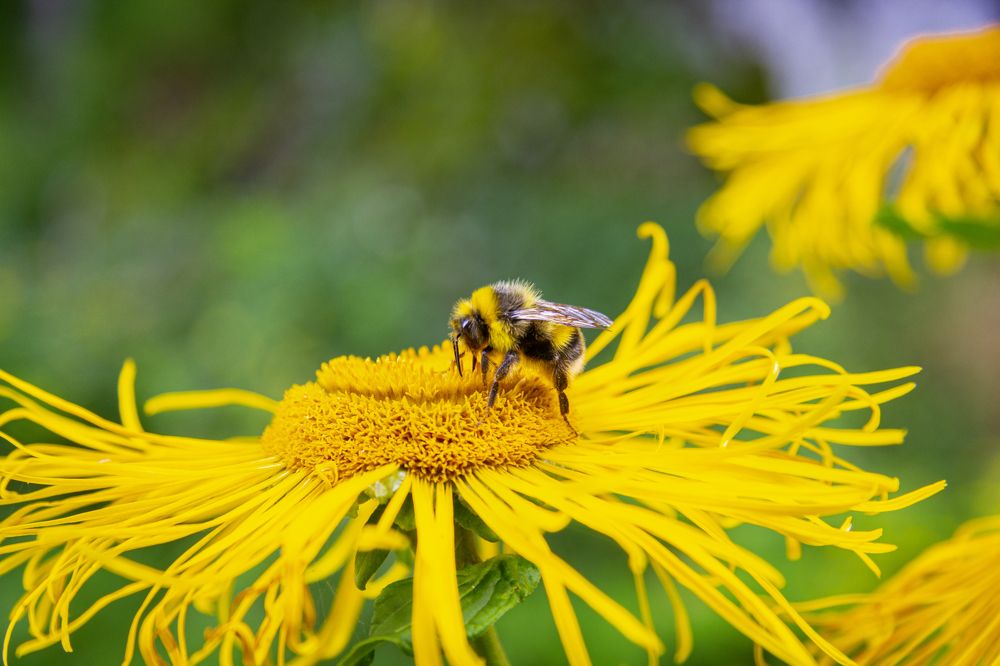 Photograph by Анатолий Шулежко