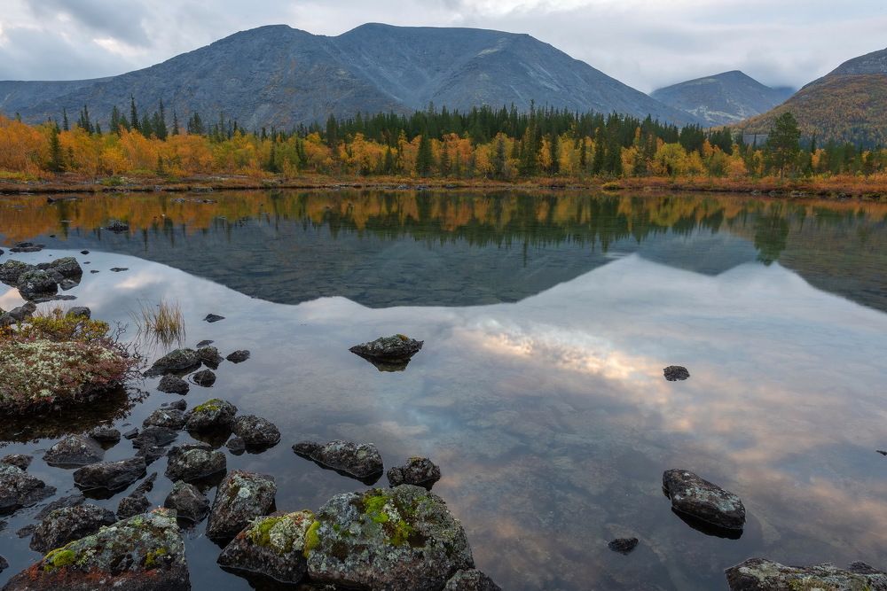 Photograph by Владимир Брагилевский