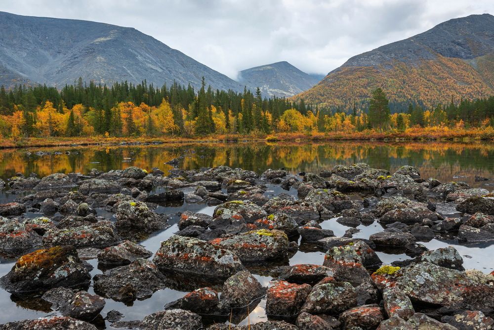 Photograph by Владимир Брагилевский